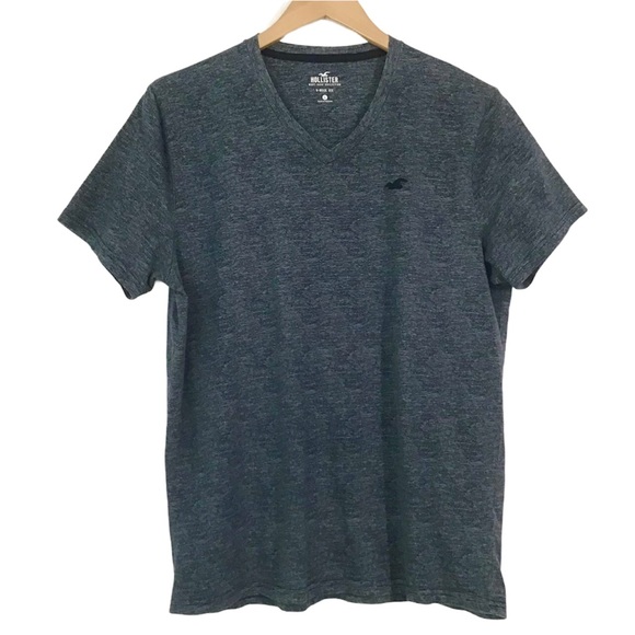 Hollister Other - Hollister Must Have Collection T-Shirt Mens Size L Soft V-Neck Tee Short Sleeves